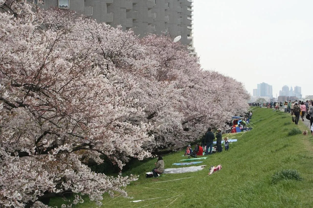 田園調布南ビル Apartment
