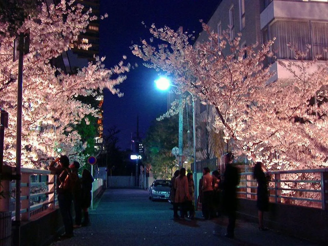田園調布南ビル Japan