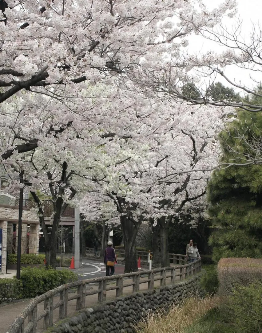田園調布南ビル 0*, Tokyo
