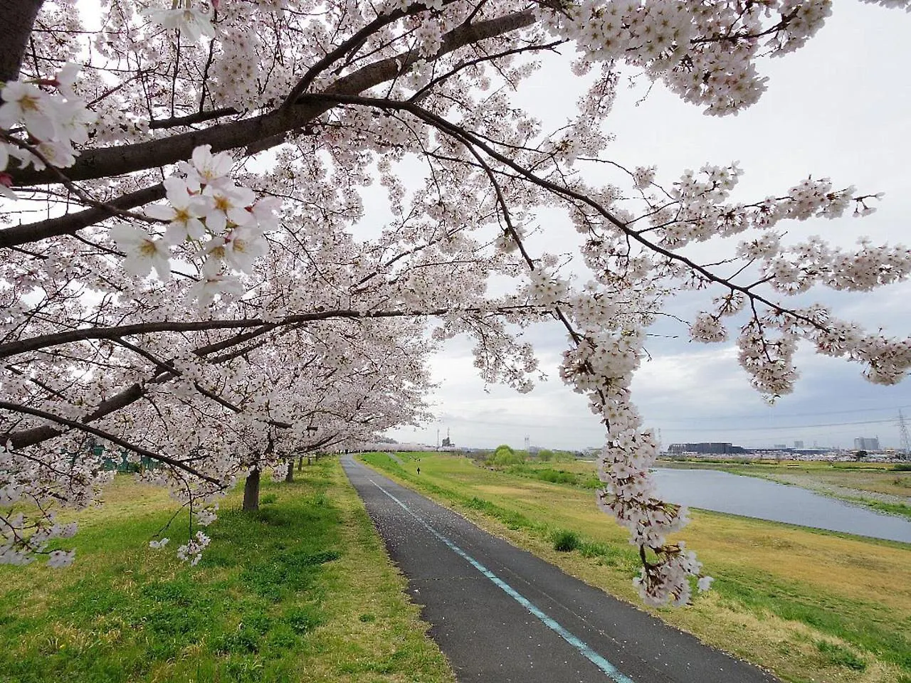 Apartment 田園調布南ビル Japan