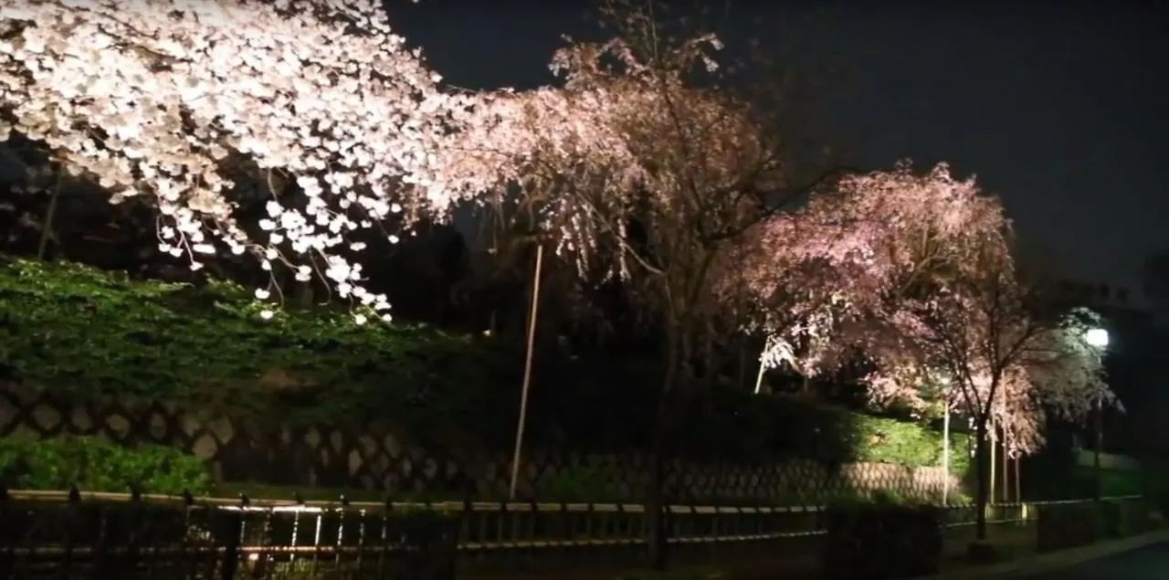 Apartment 田園調布南ビル Japan