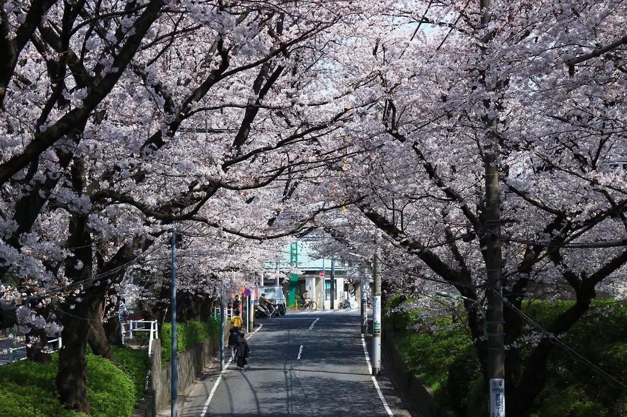 田園調布南ビル